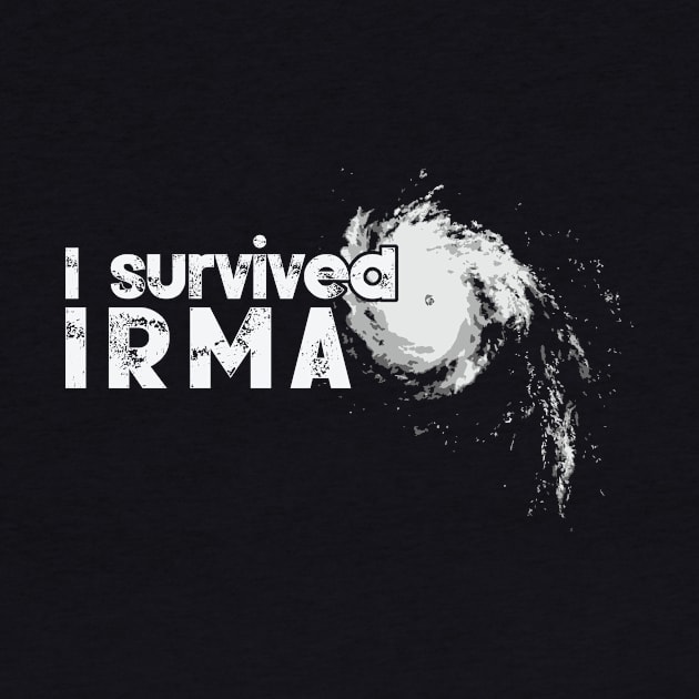 I Survived Hurricane Irma by FalconArt